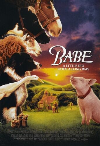 BabePig1 2